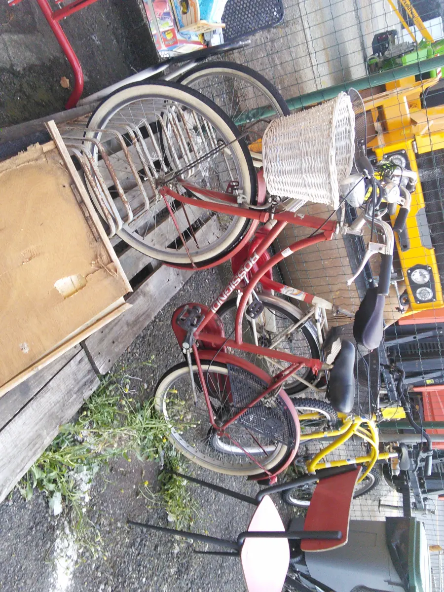 bicicletta da corsa (scontato)